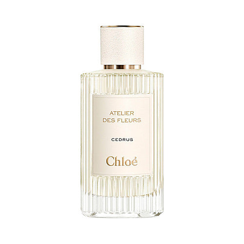 Chloé Cedrus